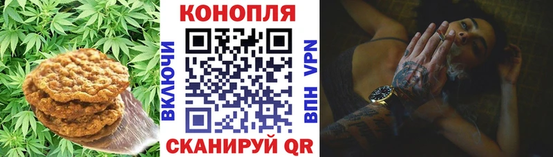 магазин    Нытва  Печенье с ТГК конопля 